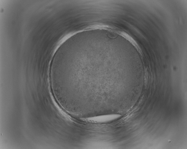 X0000067481055200604071134