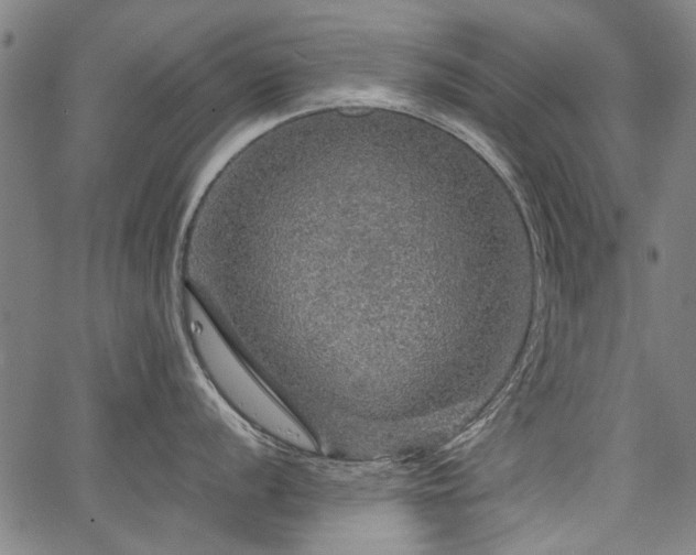 X0000067481056200604071134