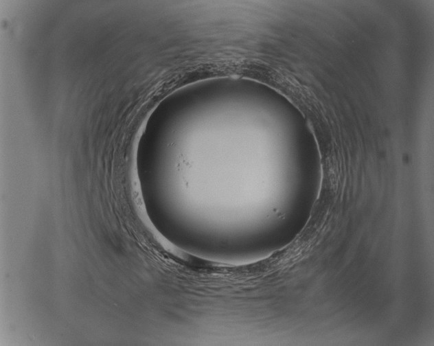 X0000067481057200604071133