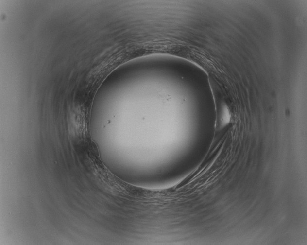 X0000067481058200604071133