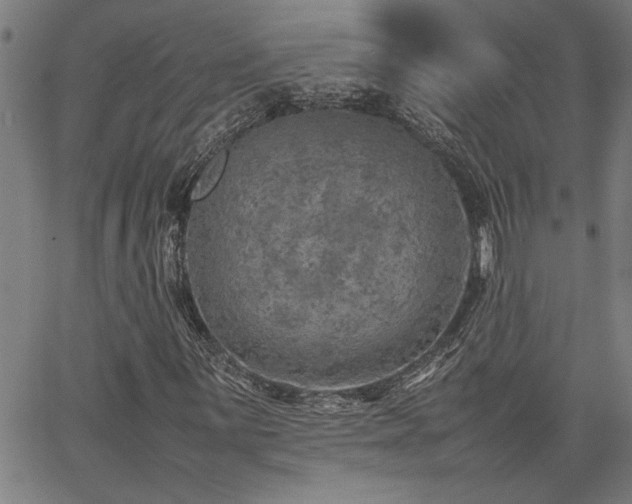 X0000067481059200604071133