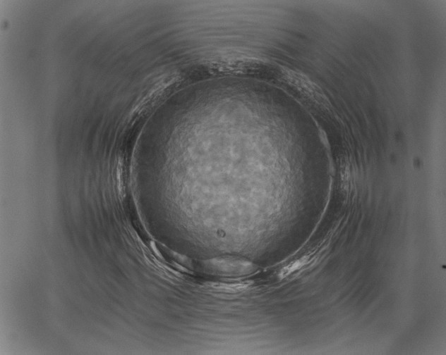 X0000067481060200604071133