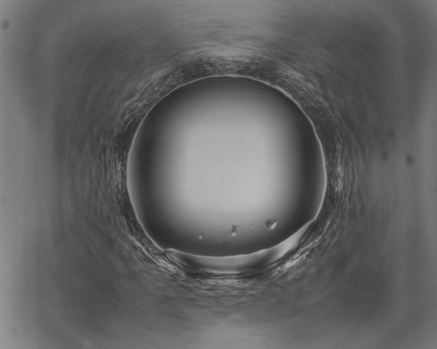 X0000067481061200604071133