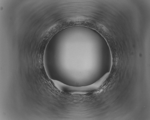 X0000067481062200604071133