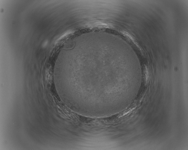 X0000067481063200604071133