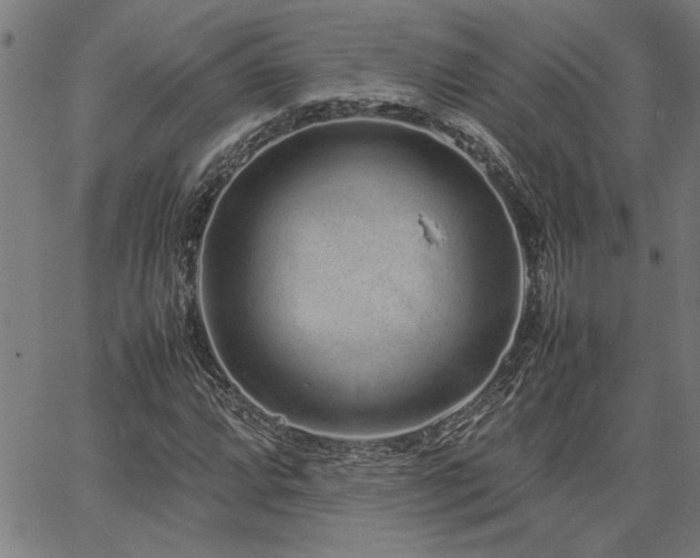 X0000067481064200604071133