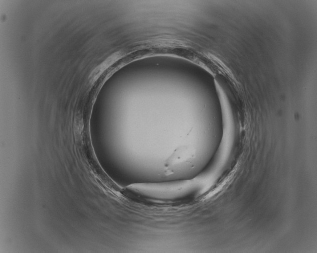 X0000067481065200604071133