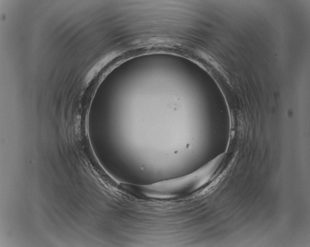 X0000067481066200604071133