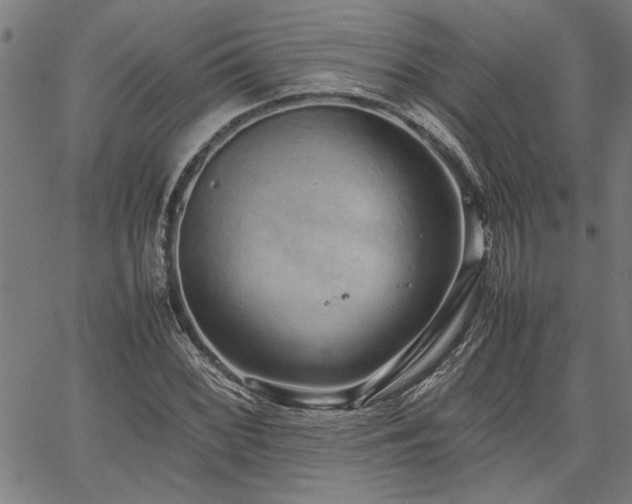 X0000067481068200604071133