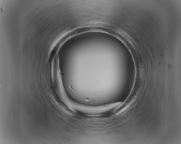 X0000067481069200604071133