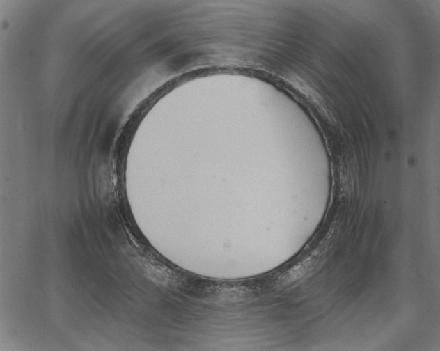 X0000067481070200604071133