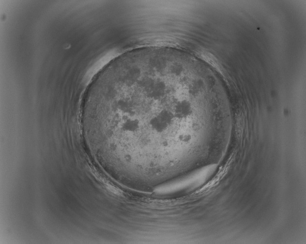 X0000067481071200604071133