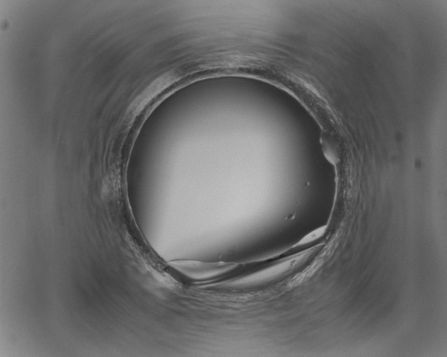 X0000067481073200604071133