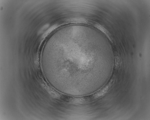 X0000067481074200604071133