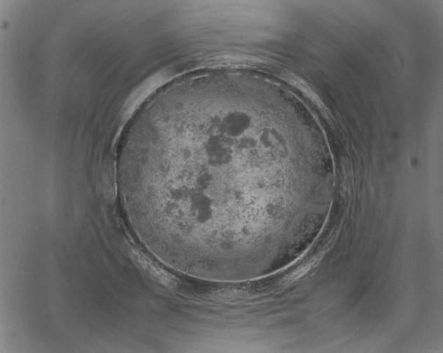 X0000067481075200604071133