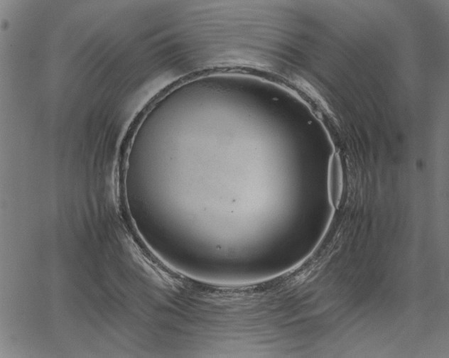 X0000067481076200604071133