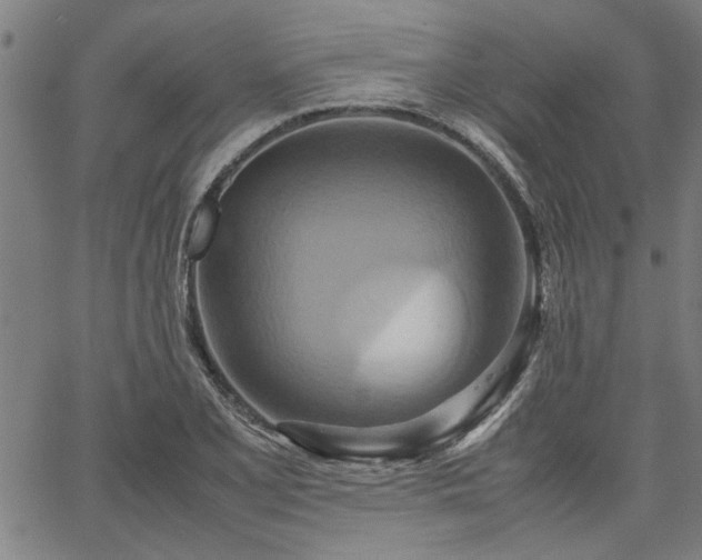 X0000067481077200604071133