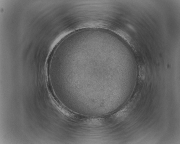 X0000067481078200604071133