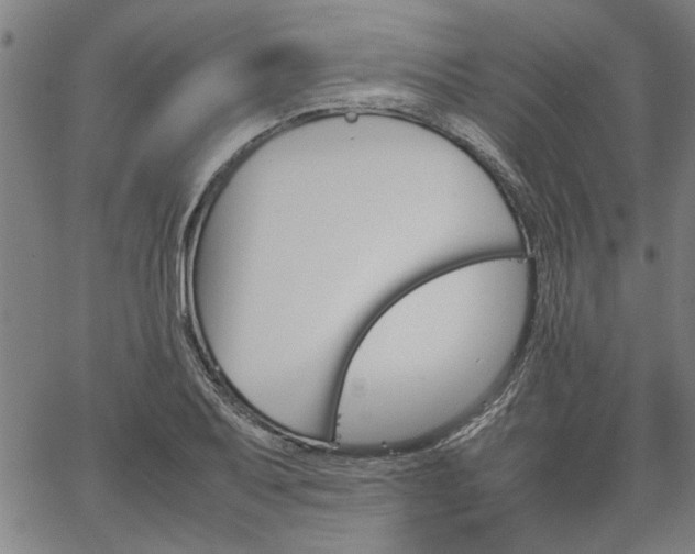 X0000067481079200604071133