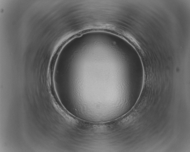 X0000067481080200604071133