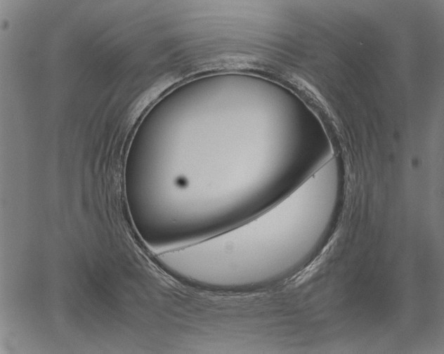 X0000067481081200604071133