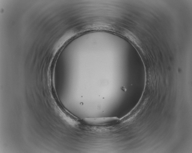 X0000067481082200604071133