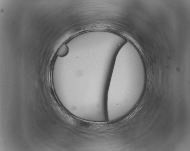 X0000067481083200604071133