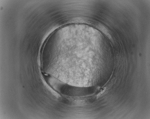 X0000067481084200604071133