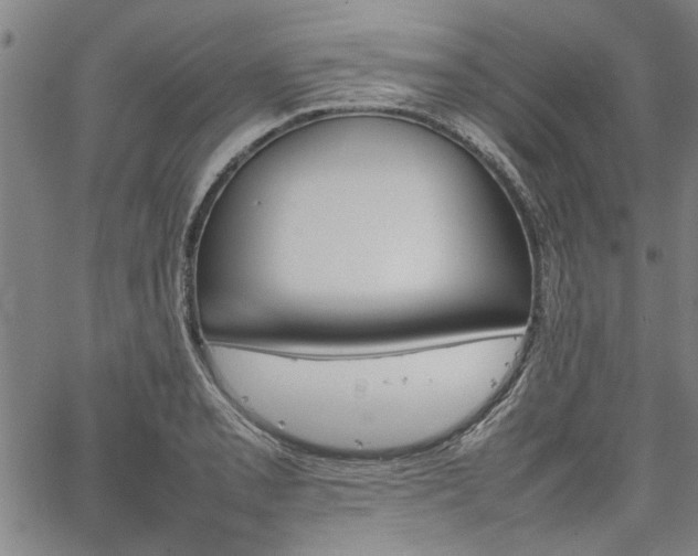 X0000067481085200604071133