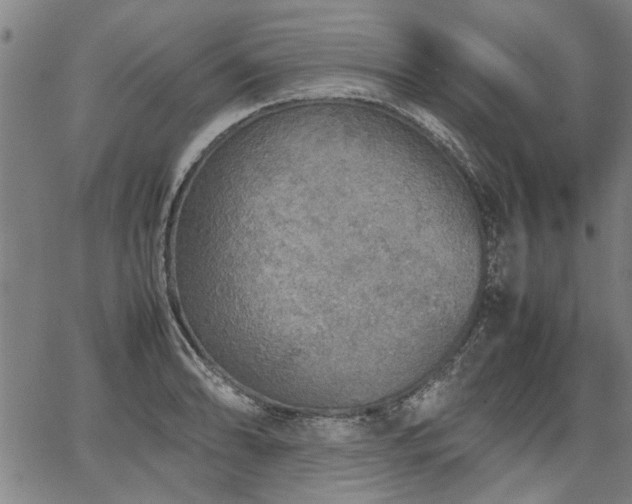 X0000067481086200604071133