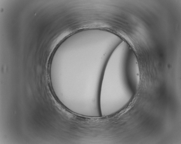 X0000067481087200604071133