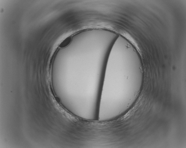 X0000067481088200604071133