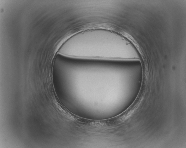 X0000067481089200604071133