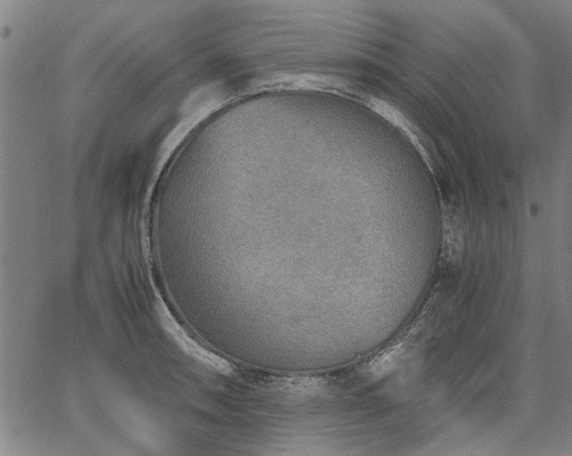 X0000067481090200604071133