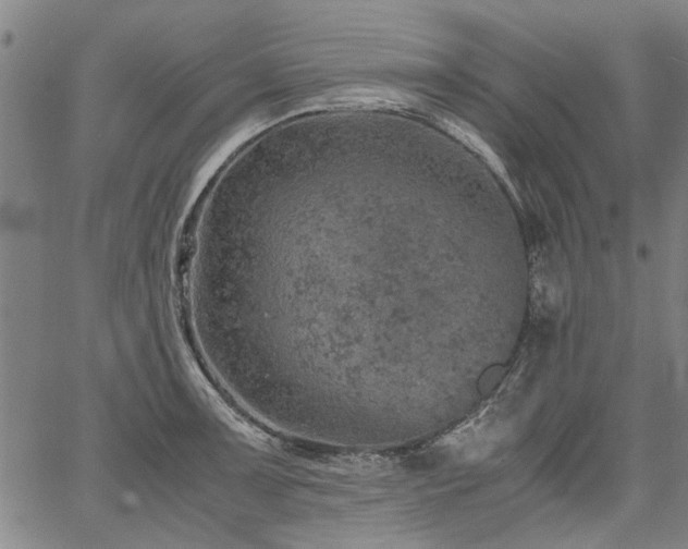 X0000067481091200604071133