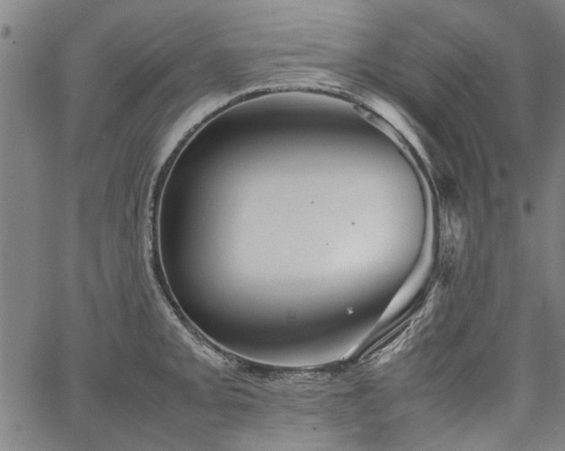 X0000067481093200604071132