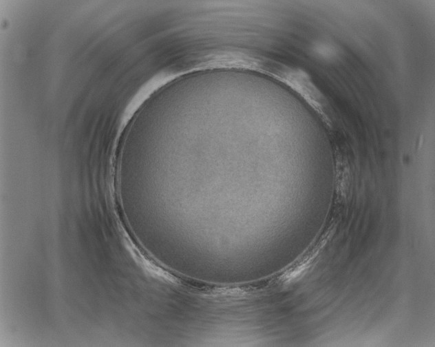 X0000067481094200604071132