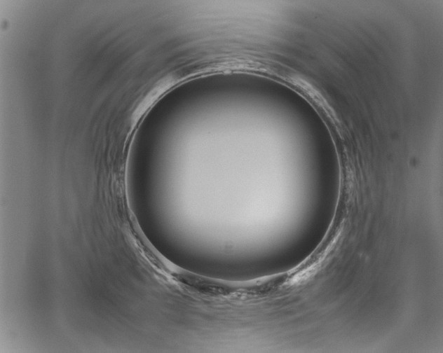 X0000067481097200604071132