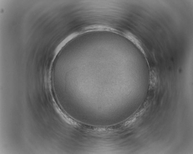 X0000067481098200604071132