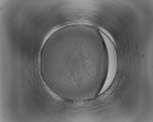 X0000067481099200604071132