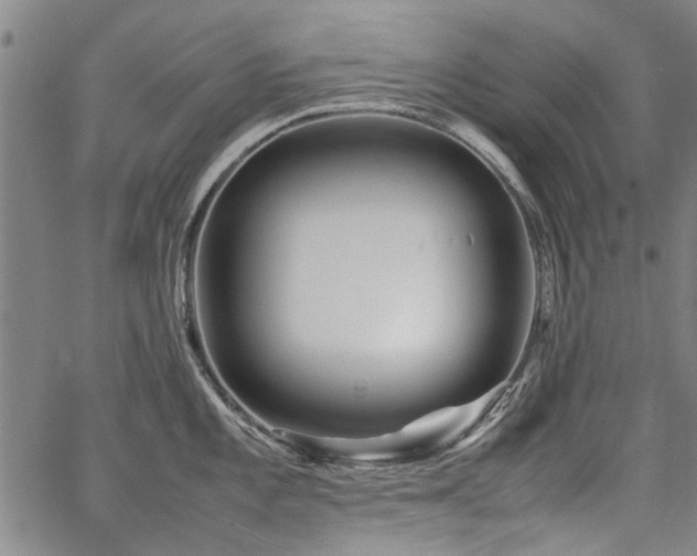 X0000067481101200604071132