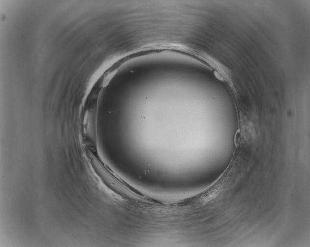 X0000067481102200604071132