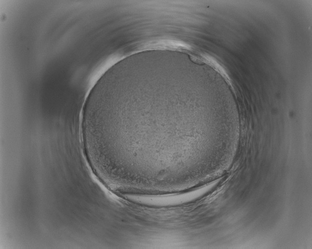 X0000067481103200604071132