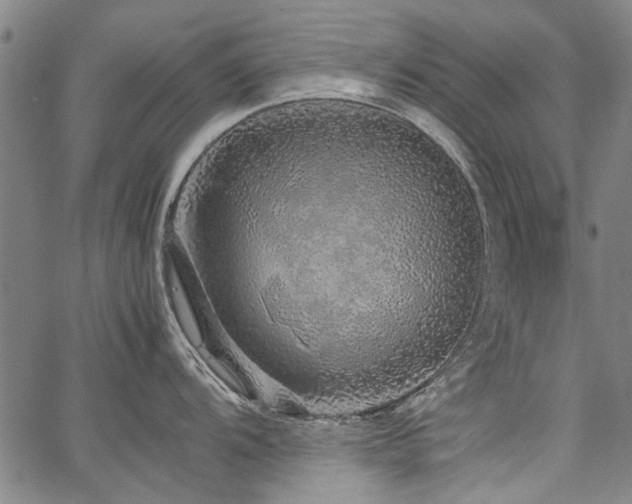 X0000067481104200604071132