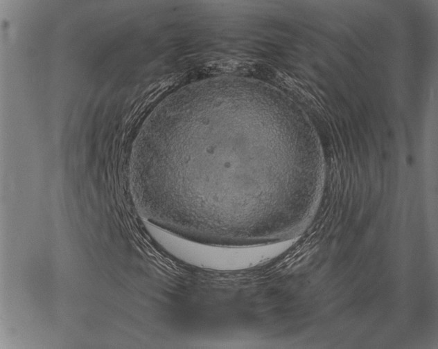 X0000067481105200604071132