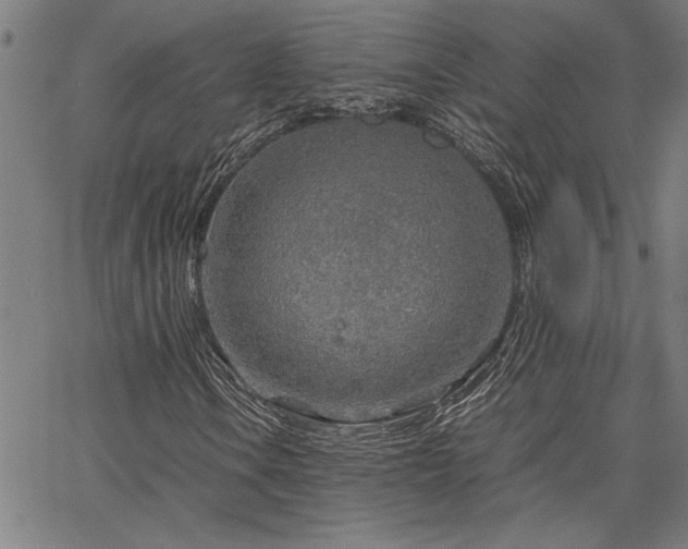 X0000067481106200604071132