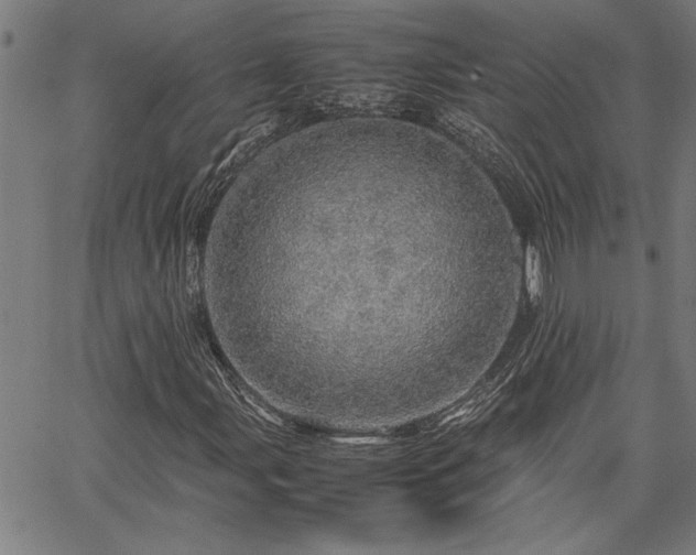 X0000067481107200604071132