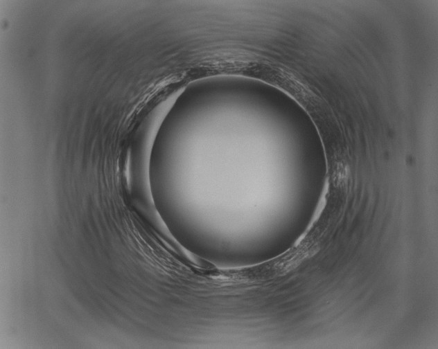 X0000067481108200604071132