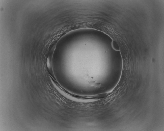 X0000067481109200604071132