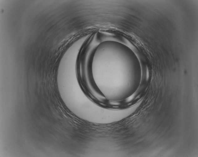 X0000067481110200604071132